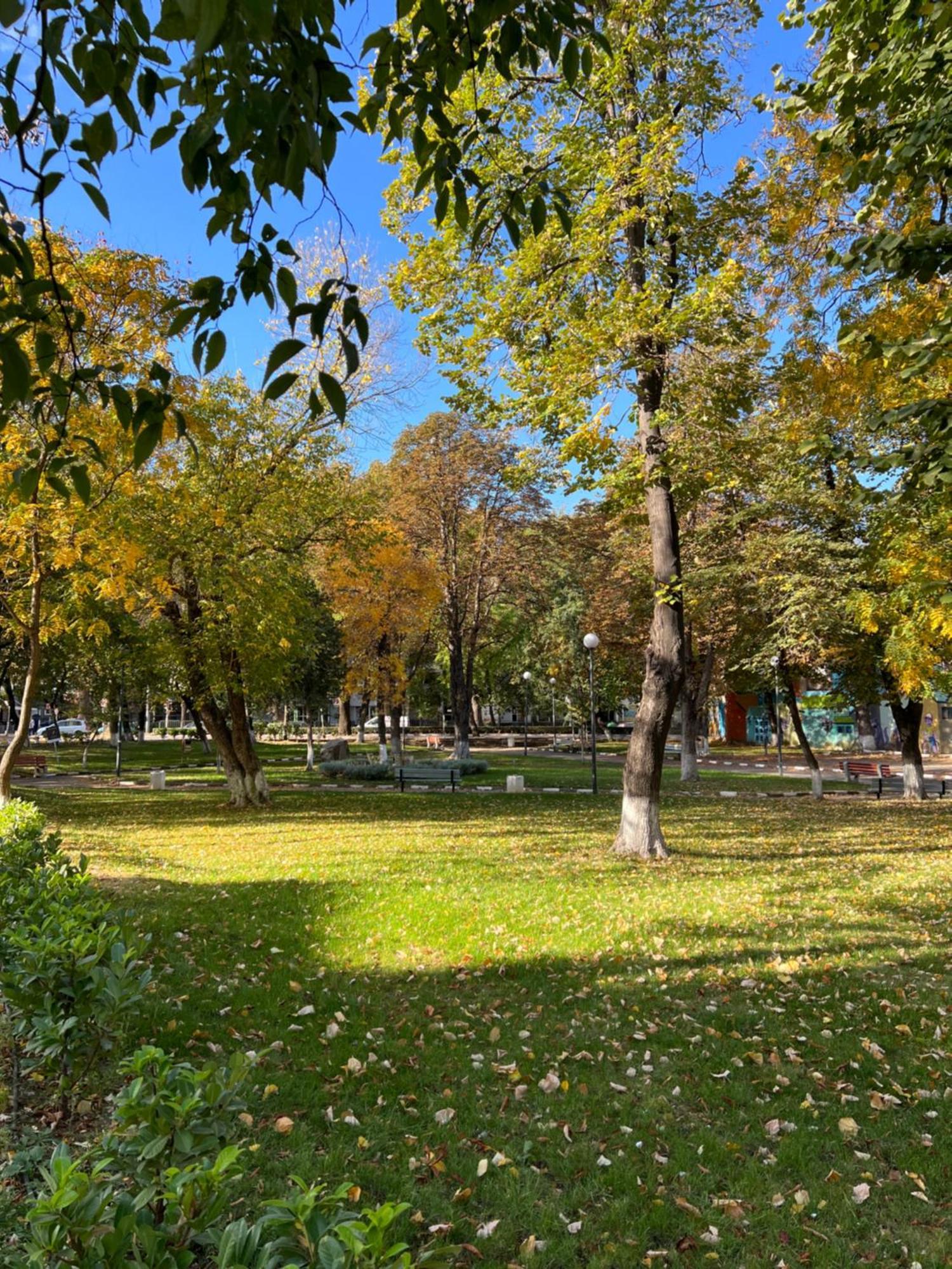 Green Park Apartments And Rooms For Guests Asenovgrad Luaran gambar